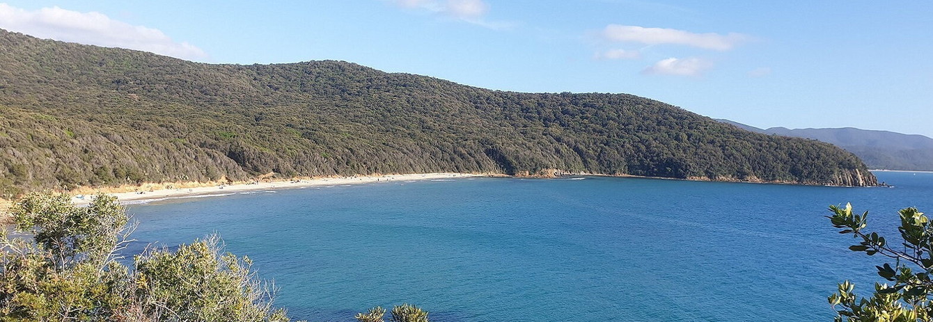 Discovering the Enchanting Maremma Beach and its Allure to Tourism