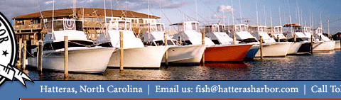 Hatteras Harbor Marina