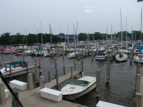 Anchorage Marina  Yacht Club