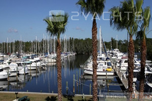 Harbortown Marina