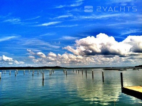 Skull Creek Marina