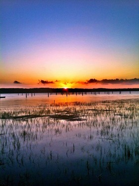 Skull Creek Marina