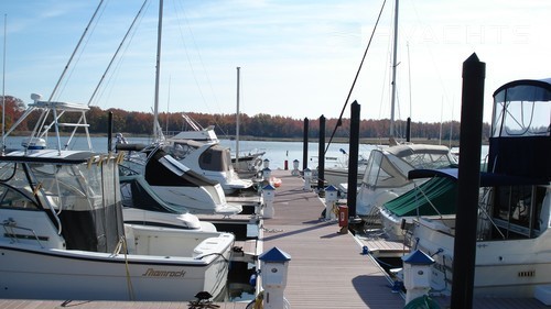 Queen Anne Marina