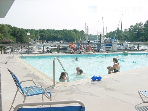 Hilton Head Harbor Marina