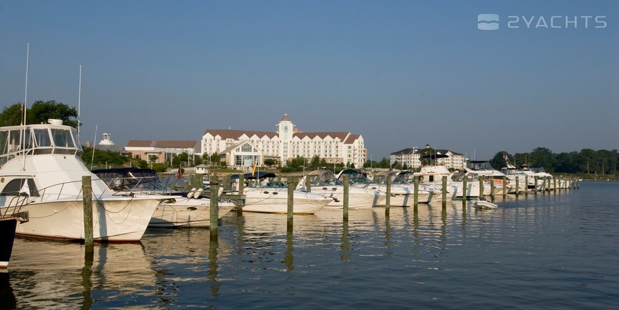 River Marsh Marina