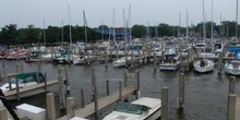 Anchorage Marina  Yacht Club