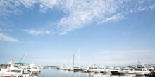 Charleston Harbor Marina