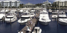 Loggerhead Marina Stuart