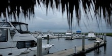 Oyster Bay Harbour Marina