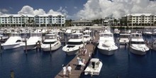 Loggerhead Marina Stuart