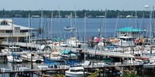 Regatta Pointe Marina