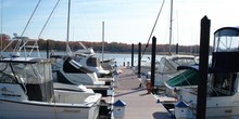 Queen Anne Marina