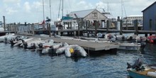 Key West Bight Marina