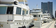 Baltimore Marine Centers at Inner Harbor