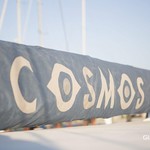 Cosmos