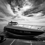 Alfamarine 47
