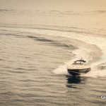 Alfamarine 47