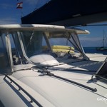 Leopard 46