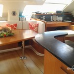 Leopard 46