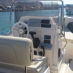 Clubman 24