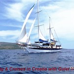 Hera C