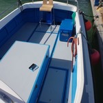 Mitchell sea warrior 27