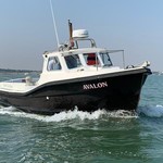 Mitchell sea warrior 27