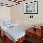 Cataleya
