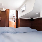 Delphia 31