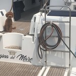 Beneteau Oceanis 523