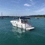 Sea Ray 315 Sundancer