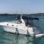 Sea Ray 315 Sundancer
