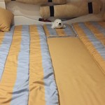 Blu martin 58 feet open