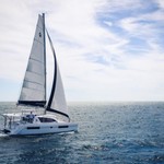 Leopard 40