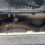 Lund Boats 2275 Baron Sport