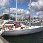 Delphia 40.3