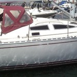 Delphia 40.3