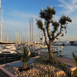 Lagoon 50