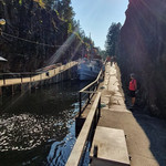 Greenline 39