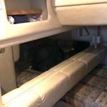 Sea Ray 310 Sundancer