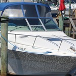 Sea Ray 310 Sundancer