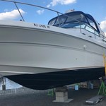 Sea Ray 310 Sundancer