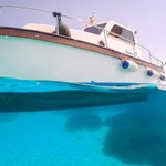 Sciallino 40 fly