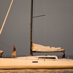 Pogo 12,50