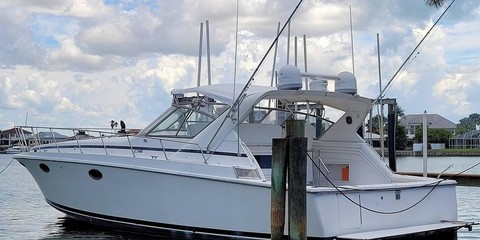 Trojan 10 meter international