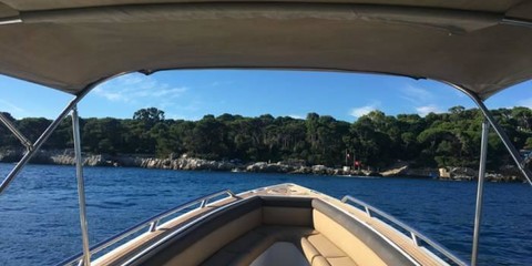 Novurania Chase 38