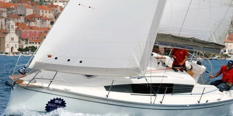Delphia 31