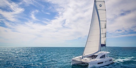Leopard 40