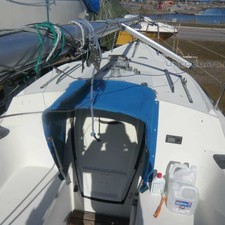 Triss Norlin 570