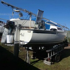 Triss Norlin 570